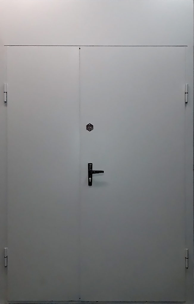 Тамбурная простая дверь
